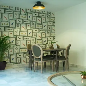  Appartement & Center Premiun